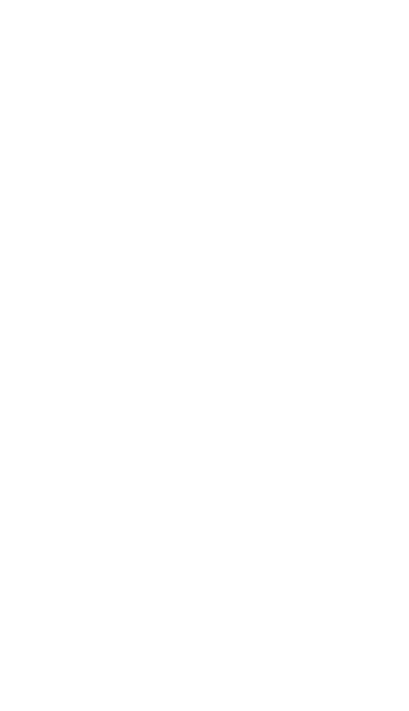 Description of the image
